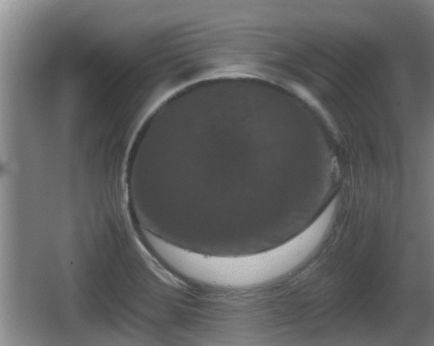 X0000062831372200601171408