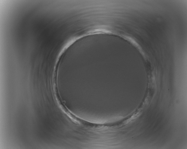 X0000062831373200601171408