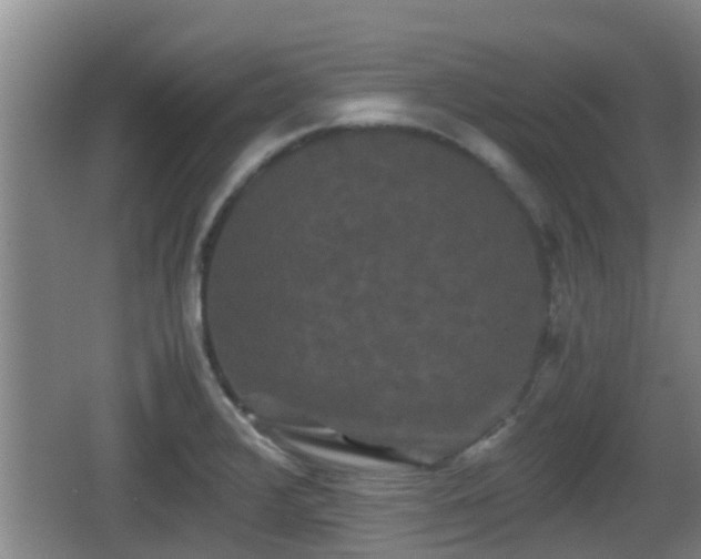 X0000062831376200601171408