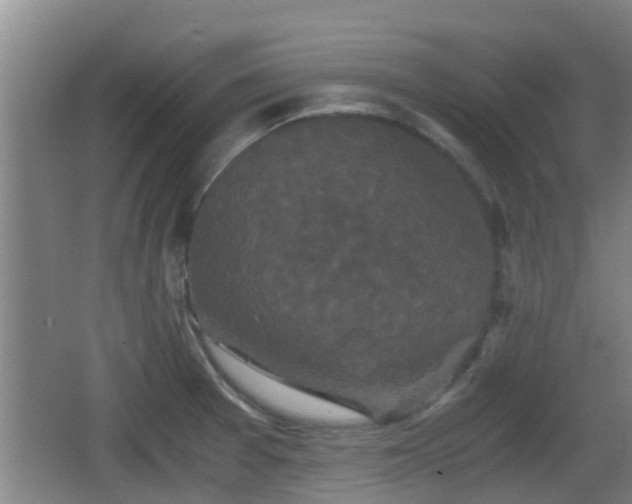 X0000062831377200601171408