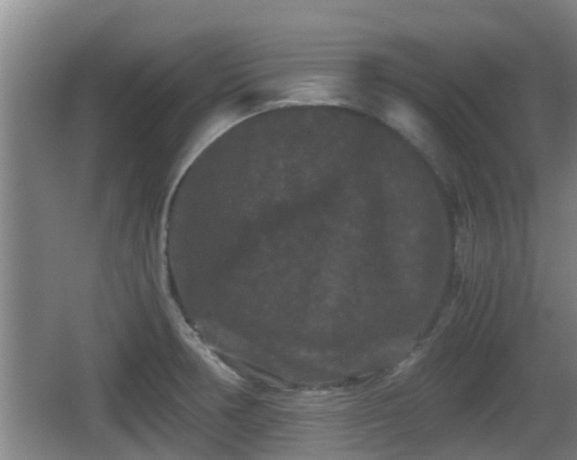 X0000062831378200601171408