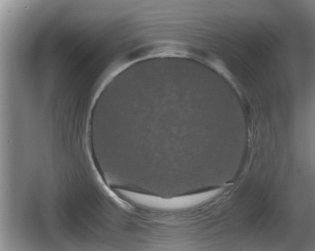 X0000062831379200601171408