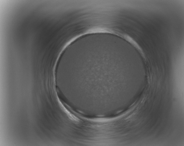 X0000062831380200601171408