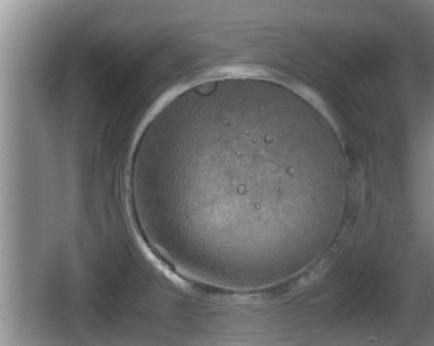 X0000062831381200601171408