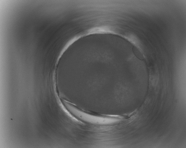 X0000062831382200601171408