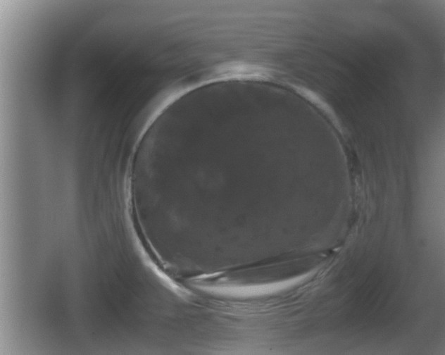 X0000062831383200601171408