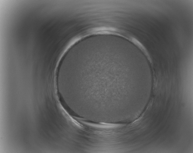 X0000062831384200601171408