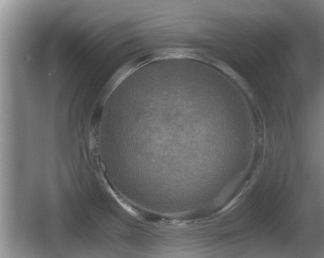 X0000062831385200601171408