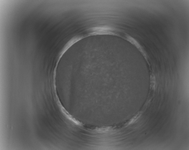 X0000062831386200601171408