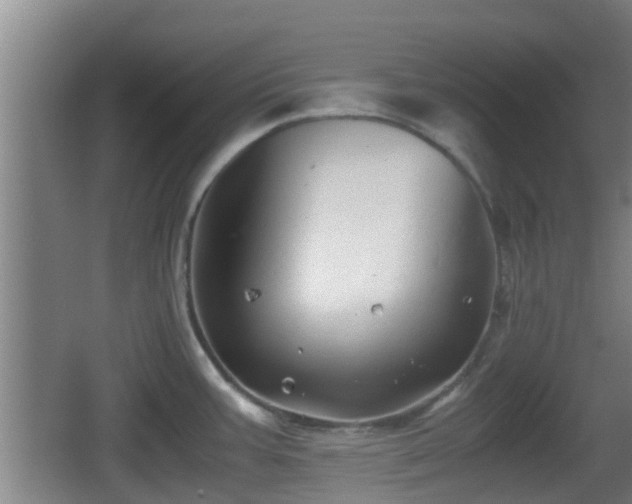 X0000062831387200601171408