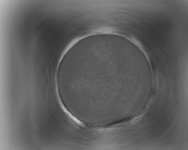 X0000062831389200601171408