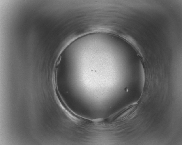 X0000062831391200601171408