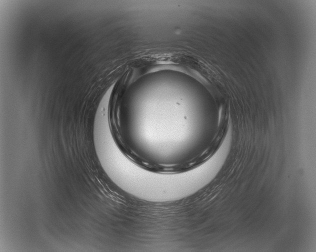 X0000062831394200601171407