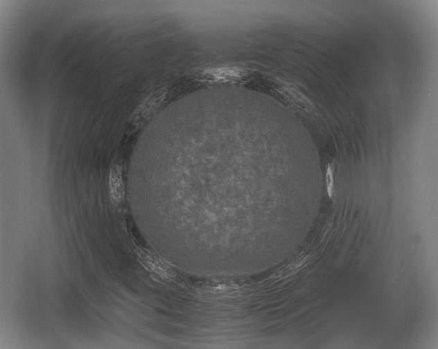 X0000062831395200601171407