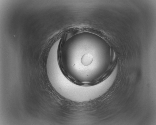 X0000062831398200601171407