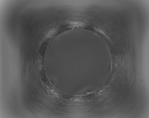 X0000062831399200601171407