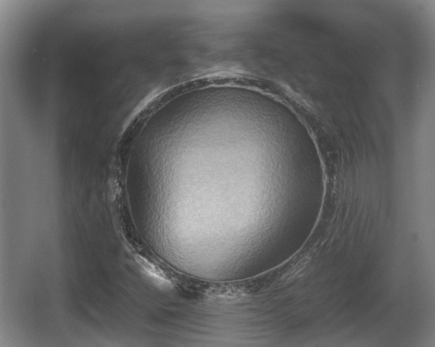 X0000062831400200601171407