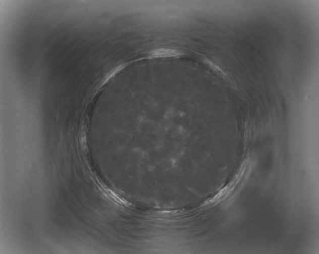 X0000062831401200601171407