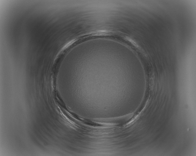 X0000062831402200601171407