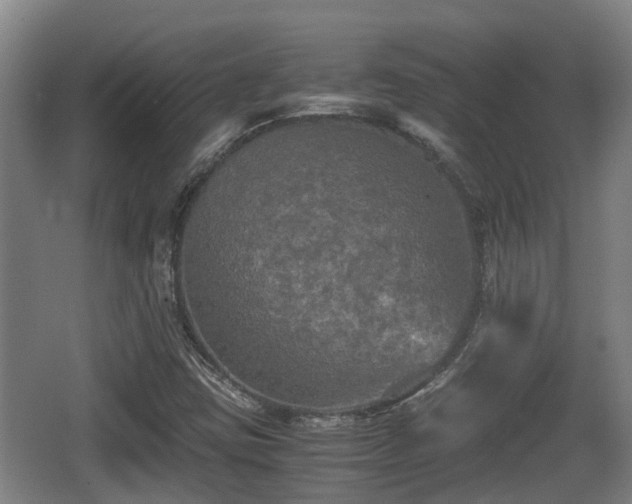 X0000062831403200601171407