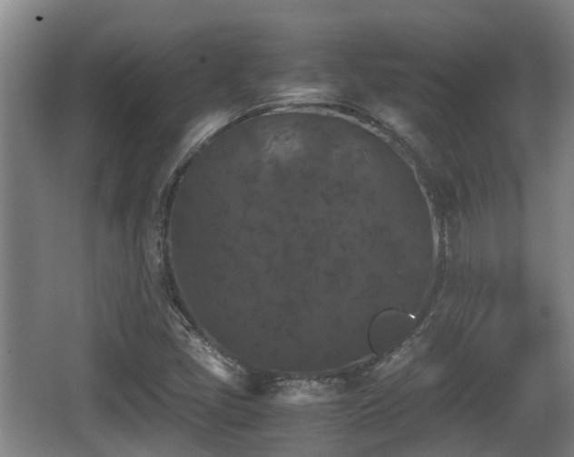 X0000062831405200601171407