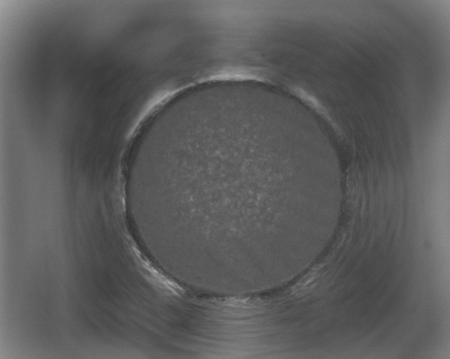 X0000062831408200601171407