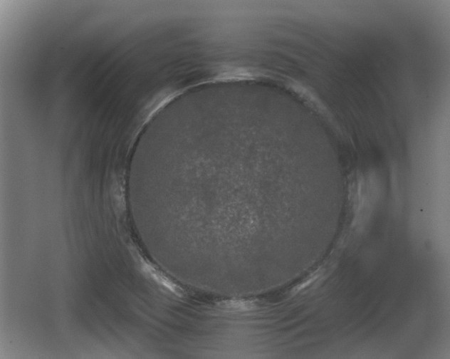 X0000062831409200601171407