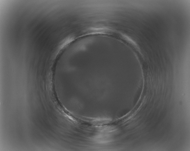 X0000062831411200601171407