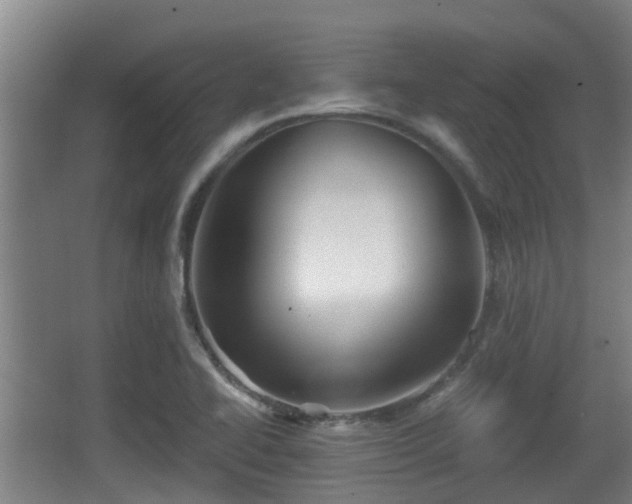 X0000062831414200601171407