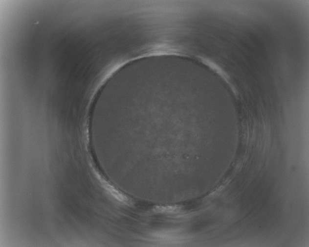 X0000062831415200601171407