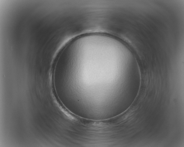 X0000062831416200601171407