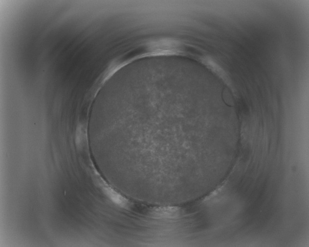 X0000062831417200601171407