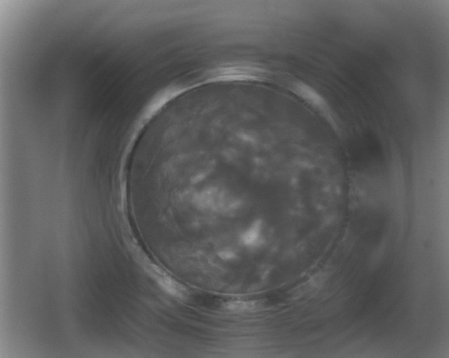 X0000062831419200601171408