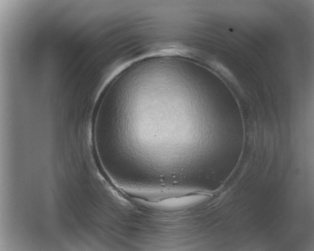 X0000062831420200601171408