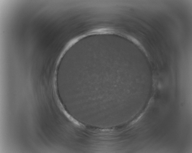 X0000062831421200601171408