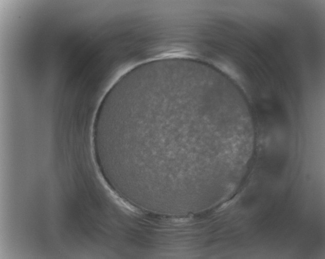 X0000062831423200601171408