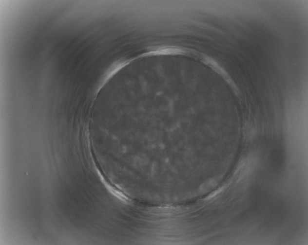 X0000062831425200601171408