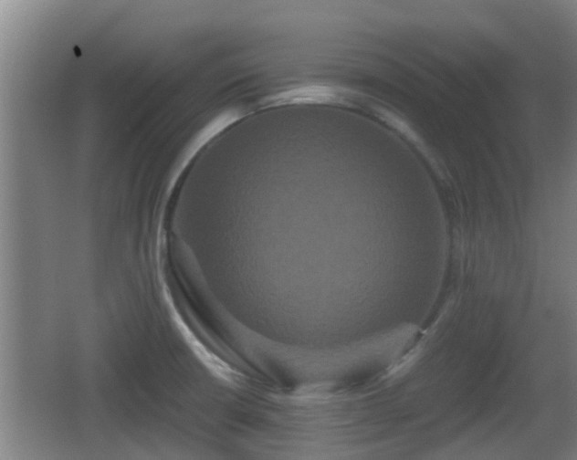 X0000062831426200601171408