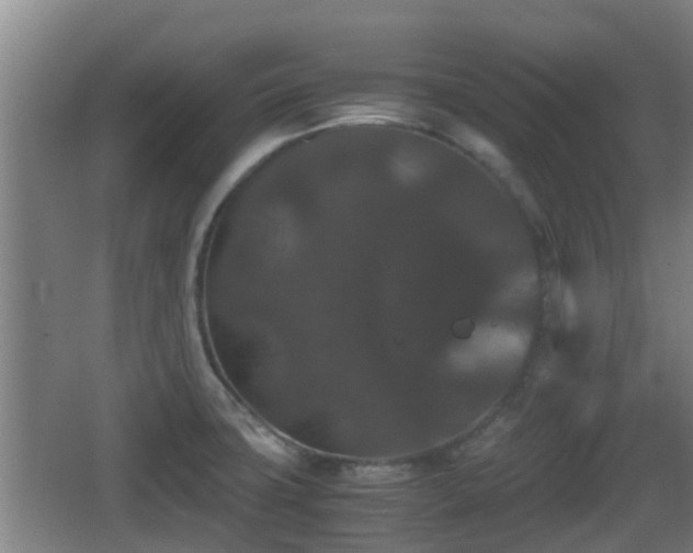 X0000062831427200601171408