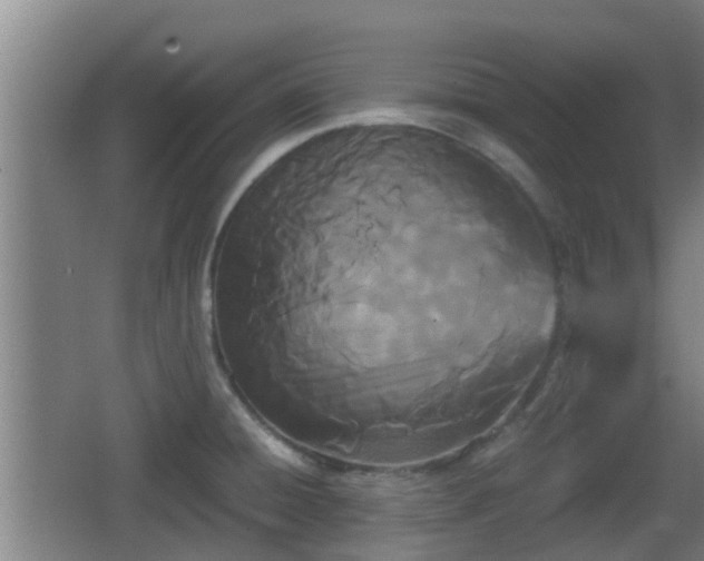 X0000062831428200601171408