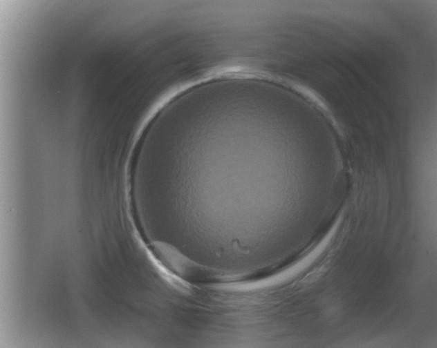 X0000062831430200601171408