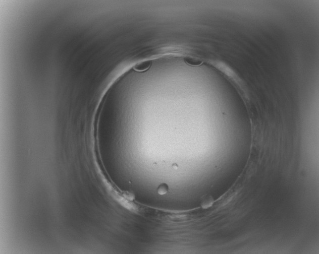 X0000062831431200601171408