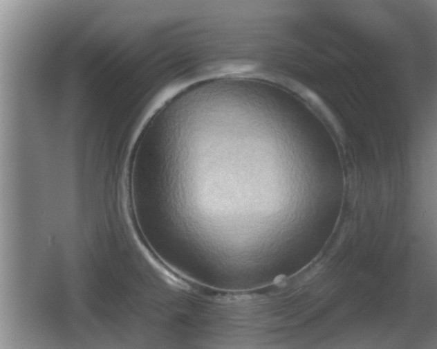 X0000062831432200601171408