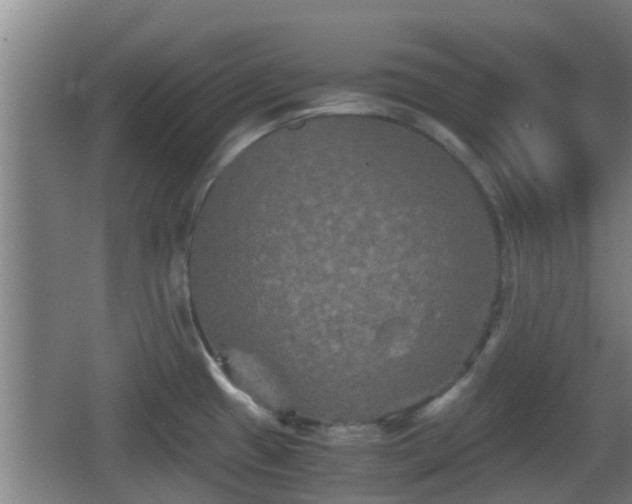 X0000062831433200601171408