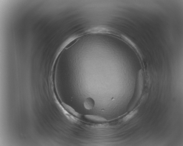 X0000062831434200601171408