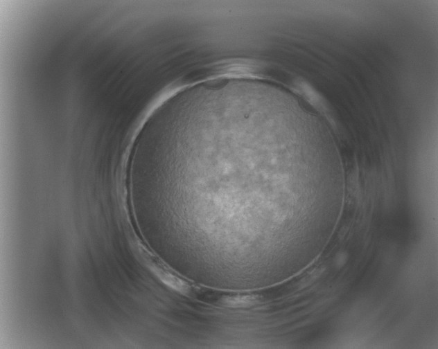 X0000062831435200601171408