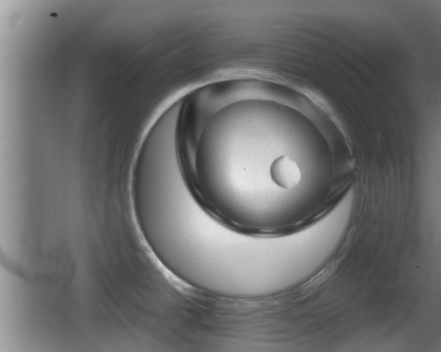 X0000062831438200601171408