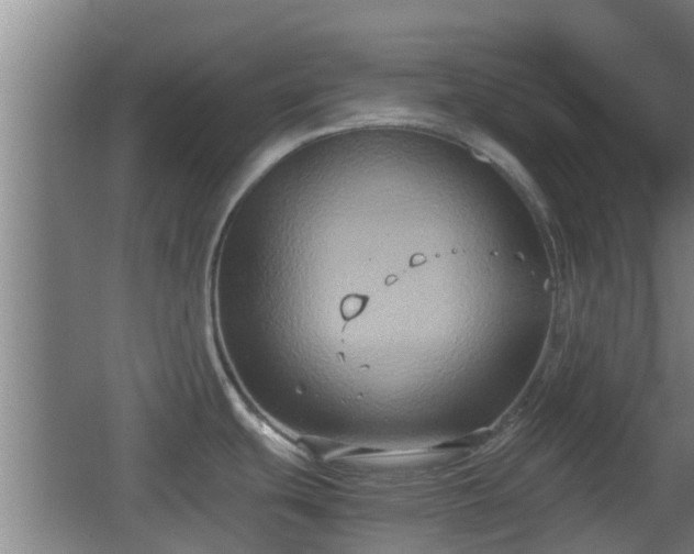 X0000062831439200601171408