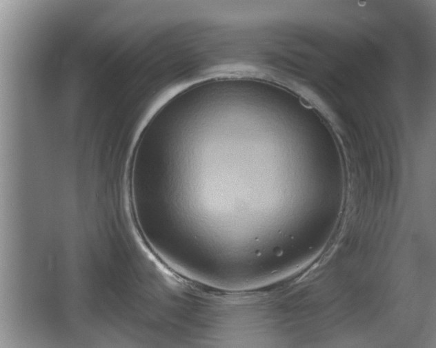 X0000062831440200601171408