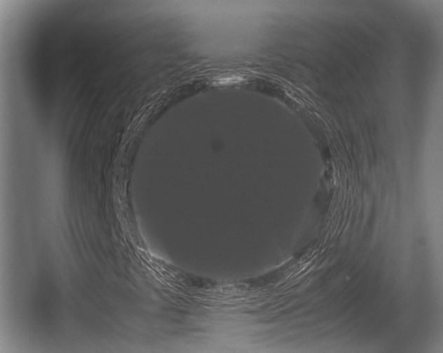 X0000062831441200601171407